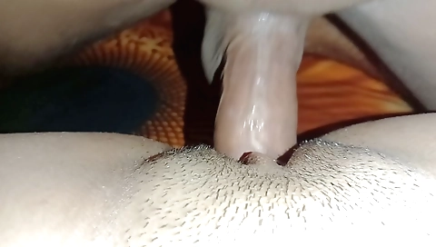 Indian babe gets pounded in her stepbrother's house