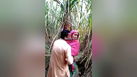 Very sexy and sexy brunette hot amateur outdoors sex pov