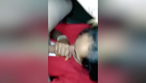 Latina girl giving an oral blowjob to her boyfriend