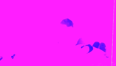 Indian amateur with a small ponytail and a tight pussy